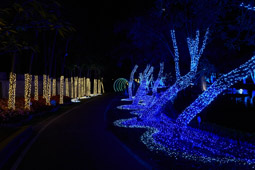 Chiang Mai 18°46'55